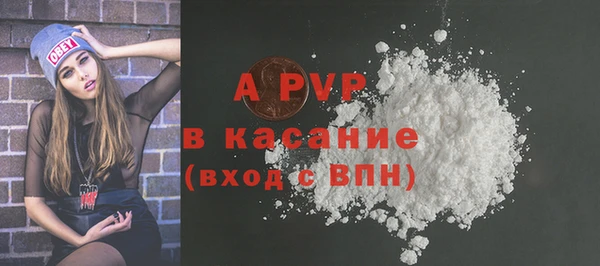 стаф Гусев