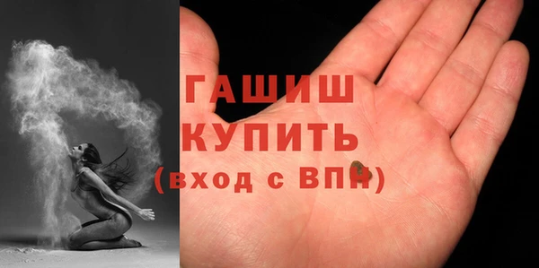 стаф Гусев