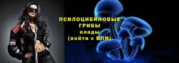 стаф Гусев