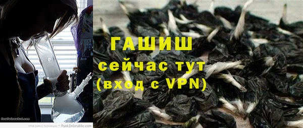 стаф Гусев